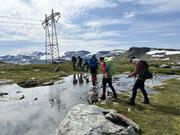 Vi krysser bekk og har våt vannkraft under føttene og knitrende høyspent over hodet.