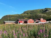 Tilbake på Aurlandsdalen Turisthytte/820: En frodig og fiolett geitrams-eng i forgrunnen. Takk for turen!