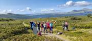 På vei til Kvannslådalen og nasjonalparken. Utsyn mot Jotunheimen.