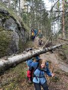Stigruppa måtte forholde seg til Amy’s herjinger ved å måtte krype under og gå rundt flere vindfall som lå på tvers av stien. Fotog: Tiril Andersen.