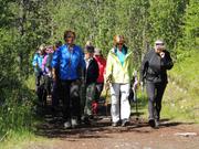 Bildet viser en del av gruppen gående på en skogsbilvei med grønne tære på begge sider.